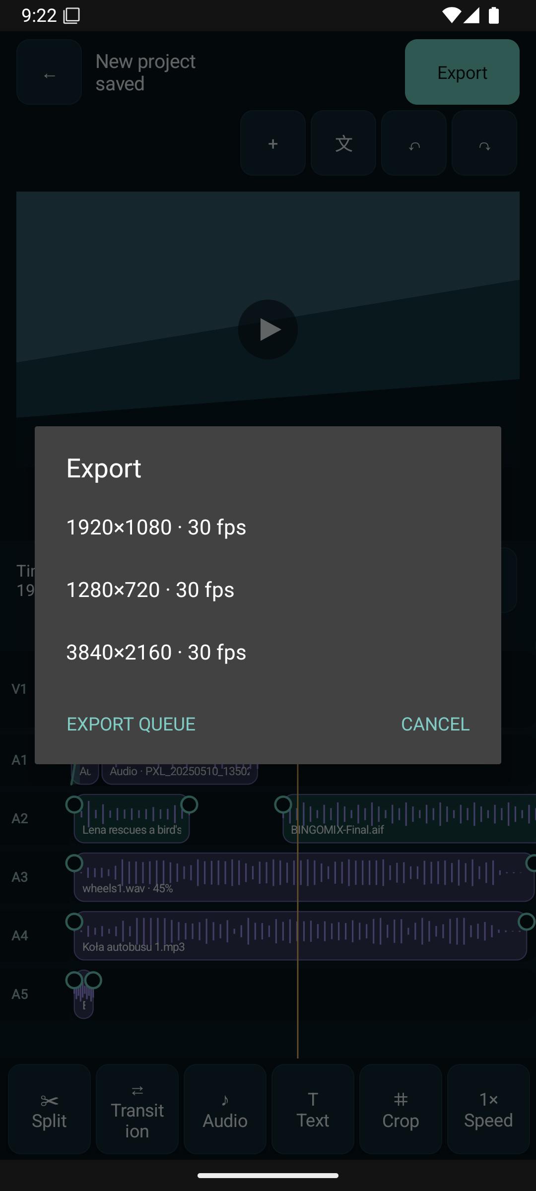 Perun Video Editor export